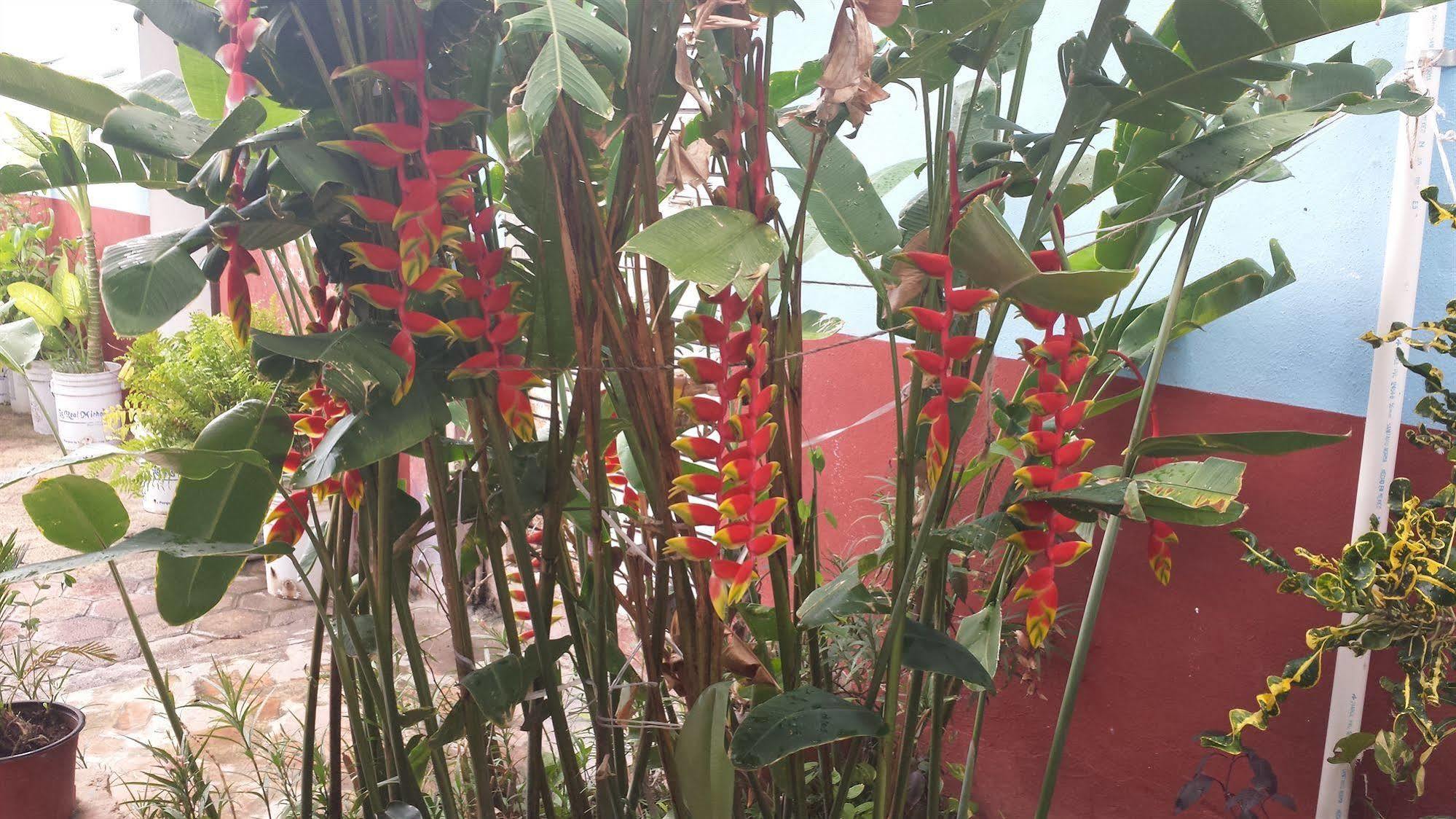 Tierra Del Sol Hotel Mérida